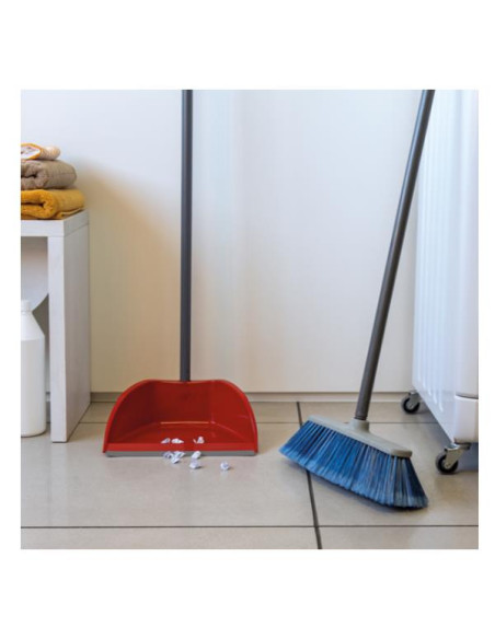 SCOPA PER INTERNI DAHLIA ASSORTITI