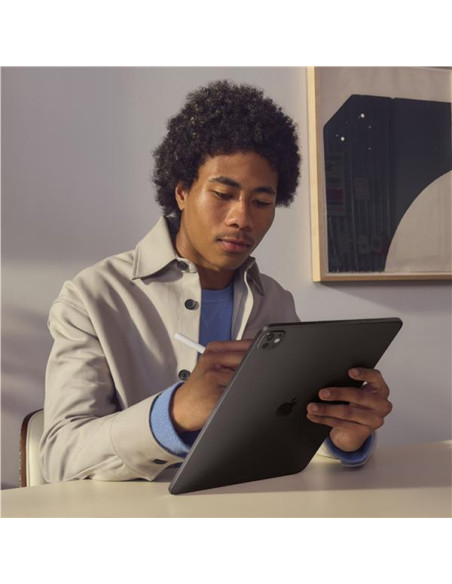 IPAD PRO 13 WF CL 1TB STD SP BLK