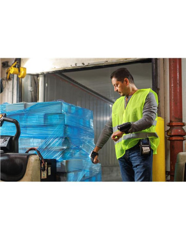 RS6100 2D SE55 STD BTTRY BACK OF