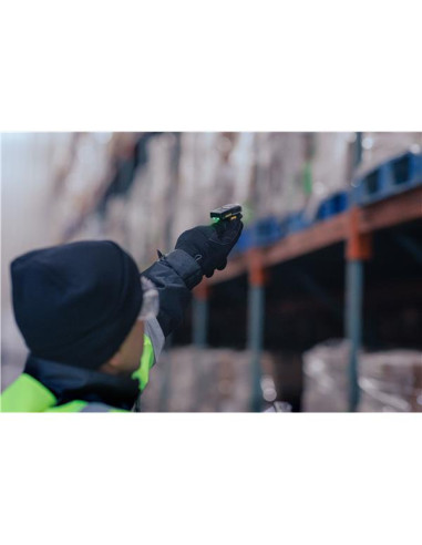 RS6100 2D SE55 STD BTTRY BACK OF