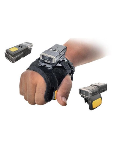 RS6100 2D SE55 STD BTTRY SINGLE