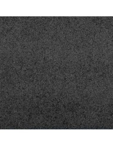 Tappetino Antracite 60 x 40 x 1.2 cm Tessuto Teddy