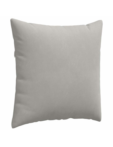 Cuscini da Divano 2 pcs Grigio chiaro 80 x 80 cm Tessuto