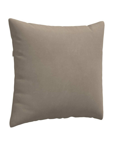 Cuscini da Divano 2 pcs Talpa 50 x 50 cm Tessuto