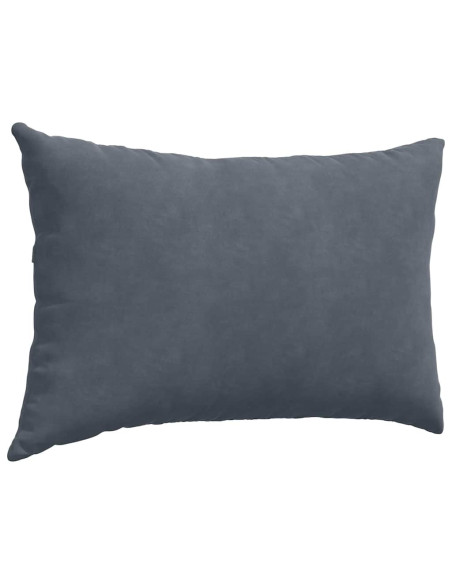 Cuscini da Divano 2 pcs Grigio scuro 60 x 40 cm