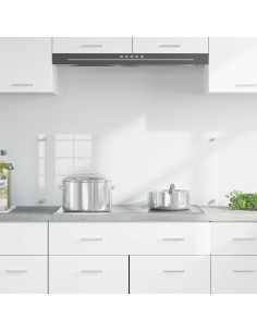 Rivestimento da Cucina Trasparente 100 x 40 x 0.8 cm