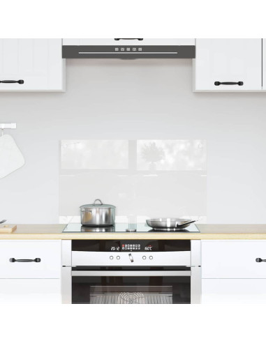 Rivestimento da Cucina Trasparente 70 x 40 x 0.8 cm