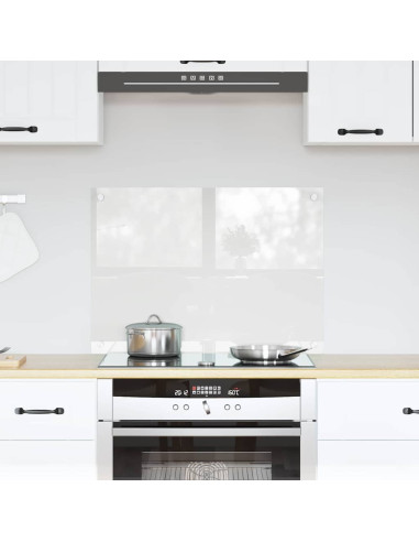 Rivestimento da Cucina Trasparente 70 x 50 x 0.8 cm