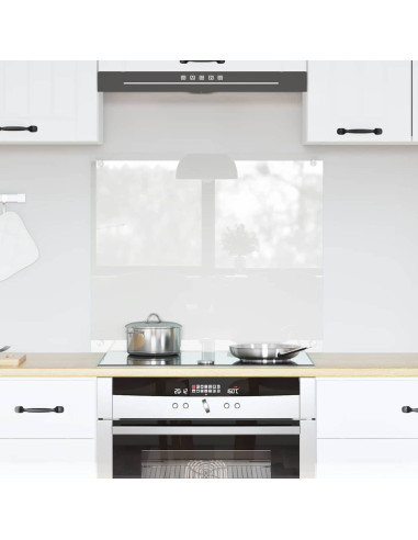 Rivestimento da Cucina Trasparente 70 x 60 x 0.8 cm