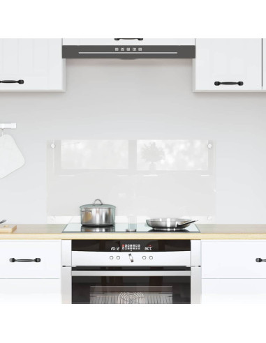 Rivestimento da Cucina Trasparente 80 x 40 x 0.8 cm