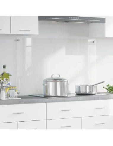 Rivestimento da Cucina Trasparente 100 x 60 x 0.8 cm