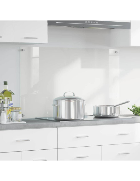 Rivestimento da Cucina Trasparente 100 x 60 x 0.8 cm