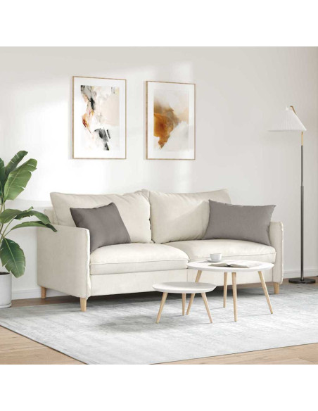 Cuscini da Divano 2 pcs Talpa 60 x 40 cm Tessuto