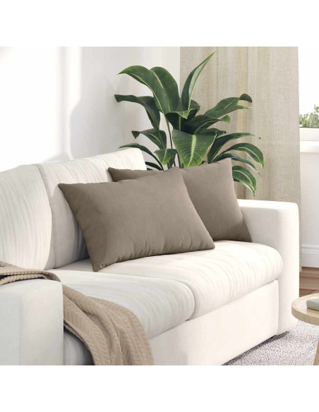 Cuscini da Divano 2 pcs Talpa 60 x 40 cm Tessuto