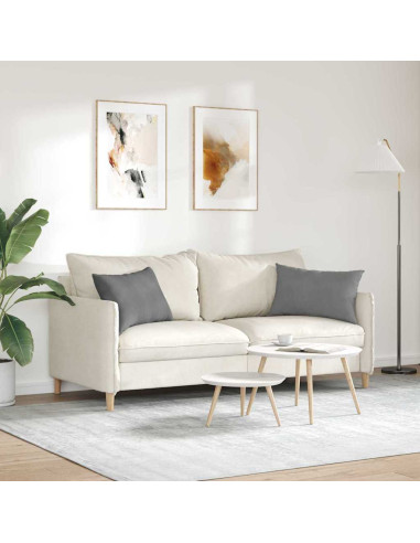 Cuscini da Divano 2 pcs Grigio scuro 60 x 40 cm Tessuto