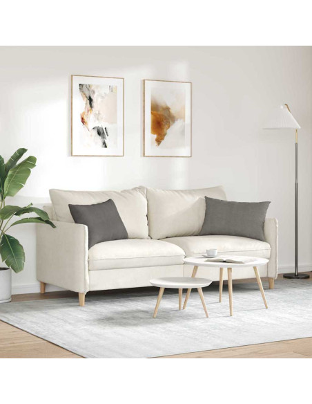 Cuscini da Divano 2 pcs Grigio chiaro 60 x 40 cm