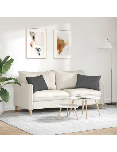 Cuscini da Divano 2 pcs Grigio scuro 60 x 40 cm