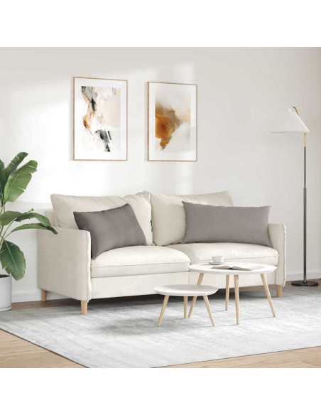 Cuscini da Divano 2 pcs Talpa 80 x 40 cm Tessuto