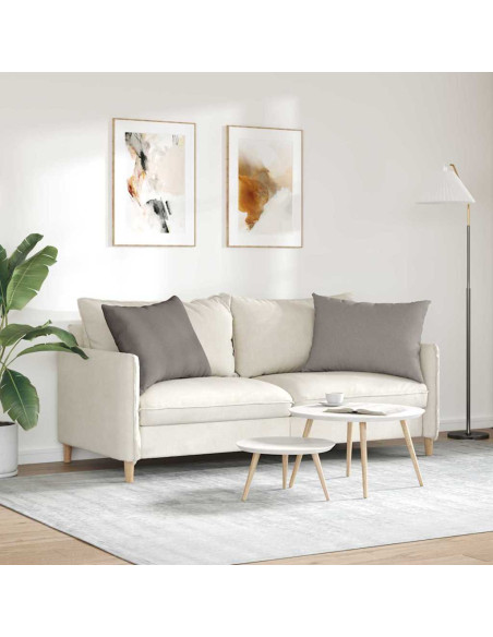 Cuscini da Divano 2 pcs Talpa 70 x 50 cm Tessuto