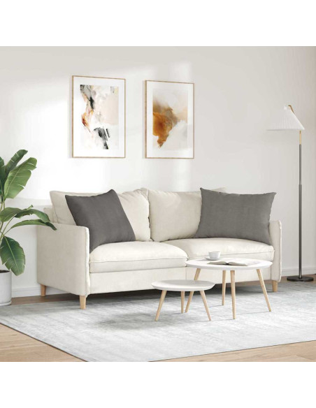 Cuscini da Divano 2 pcs Grigio chiaro 70 x 50 cm