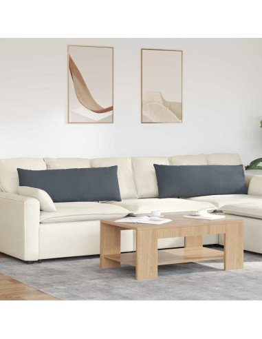 Cuscini da Divano 2 pcs Grigio scuro 120 x 40 cm