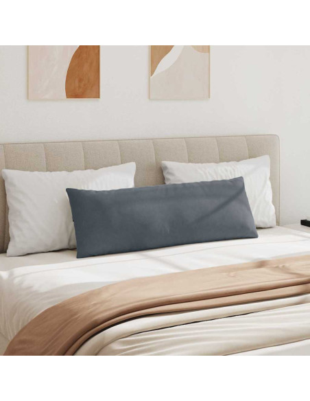 Cuscini da Divano 2 pcs Grigio scuro 120 x 40 cm