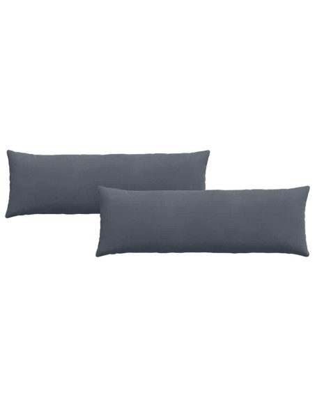 Cuscini da Divano 2 pcs Grigio scuro 120 x 40 cm