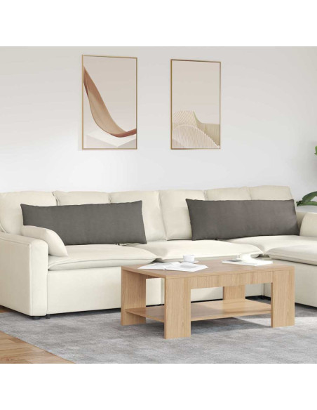Cuscini da Divano 2 pcs Grigio chiaro 120 x 40 cm