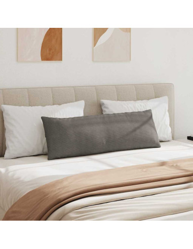 Cuscini da Divano 2 pcs Grigio chiaro 120 x 40 cm