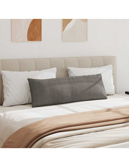 Cuscini da Divano 2 pcs Grigio chiaro 120 x 40 cm