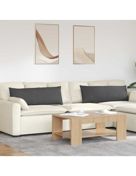 Cuscini da Divano 2 pcs Grigio scuro 120 x 40 cm