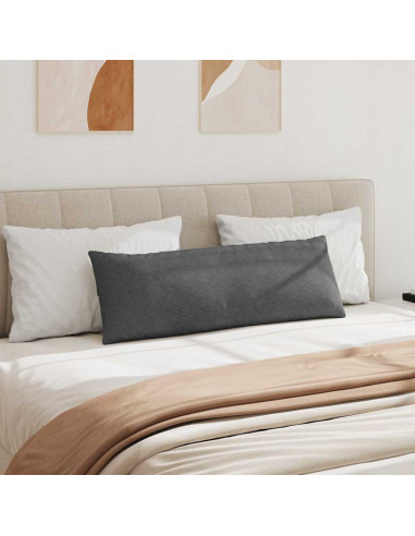 Cuscini da Divano 2 pcs Grigio scuro 120 x 40 cm