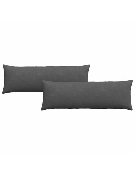 Cuscini da Divano 2 pcs Grigio scuro 120 x 40 cm