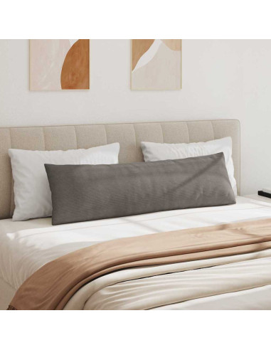 Cuscini da Divano 2 pcs Grigio chiaro 145 x 40 cm