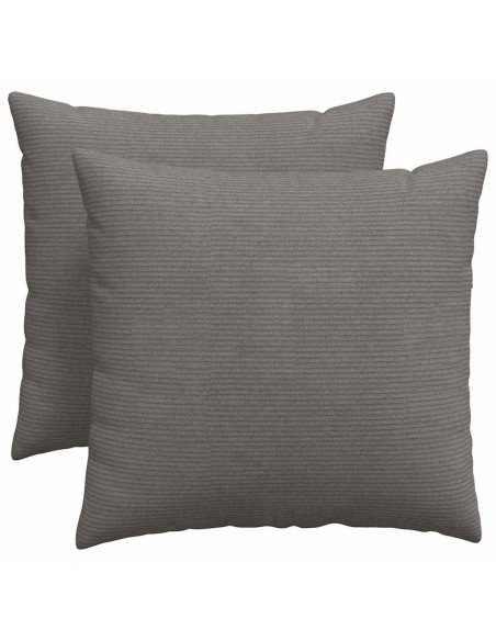 Cuscini da Divano 2 pcs Grigio chiaro 50 x 50 cm