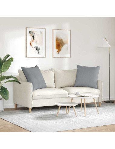 Cuscini da Divano 2 pcs Grigio chiaro 60 x 60 cm Tessuto