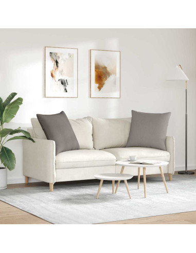 Cuscini da Divano 2 pcs Talpa 60 x 60 cm Tessuto