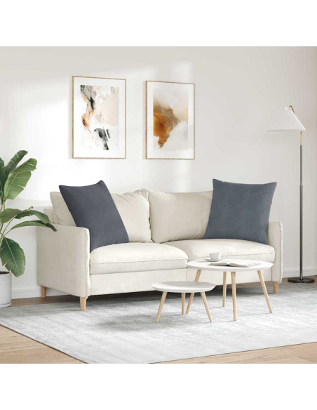 Cuscini da Divano 2 pcs Grigio scuro 60 x 60 cm