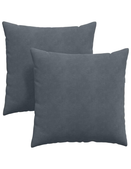 Cuscini da Divano 2 pcs Grigio scuro 60 x 60 cm