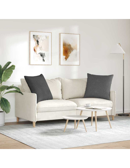 Cuscini da Divano 2 pcs Grigio scuro 60 x 60 cm