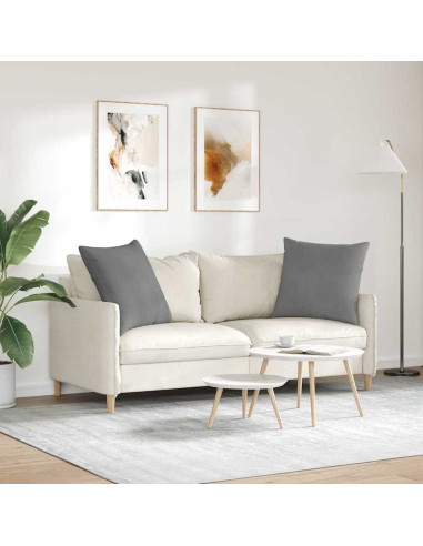 Cuscini da Divano 2 pcs Grigio scuro 80 x 80 cm Tessuto