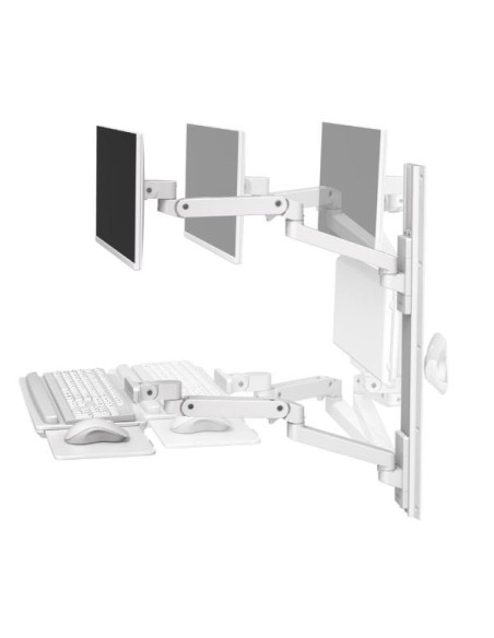 LX PRO ARM WALL MOUNT SYSTEM