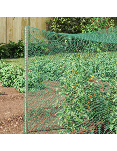 Reticolo di Protezione per Uccelli Verde 2 x 5 m HDPE