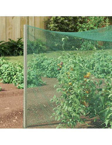 Reticolo di Protezione per Uccelli Verde 2 x 10 m HDPE