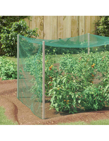 Reticolo di Protezione per Uccelli Verde 2 x 10 m HDPE
