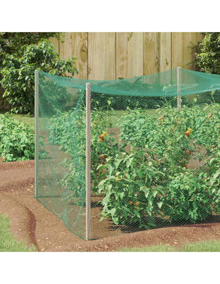 Reticolo di Protezione per Uccelli Verde 4 x 5 m HDPE