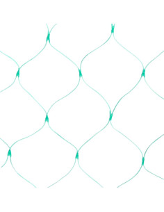Reticolo di Protezione per Uccelli Verde 4 x 10 m HDPE 2