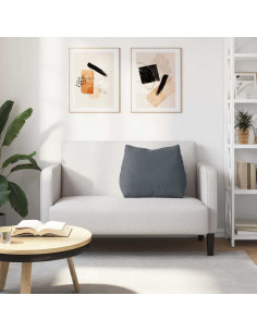 Cuscino per Schiena Grigio scuro 60 x 20 x 50 cm