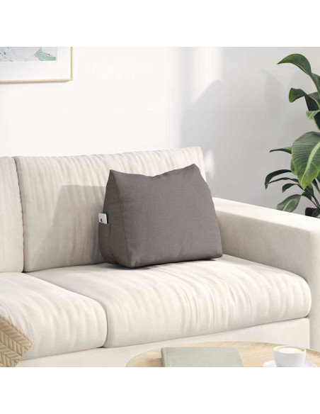 Cuscino per Schiena Talpa 45 x 20 x 35 cm Tessuto