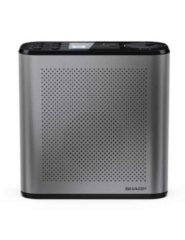 RADIO DIGITALE OSAKA